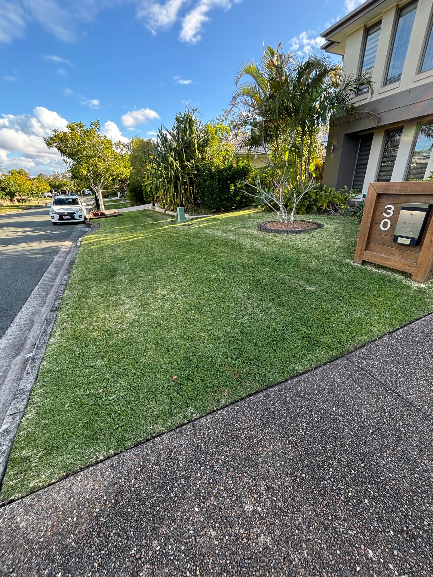 Freshly mowed and edged front lawn beside a palm garden bed