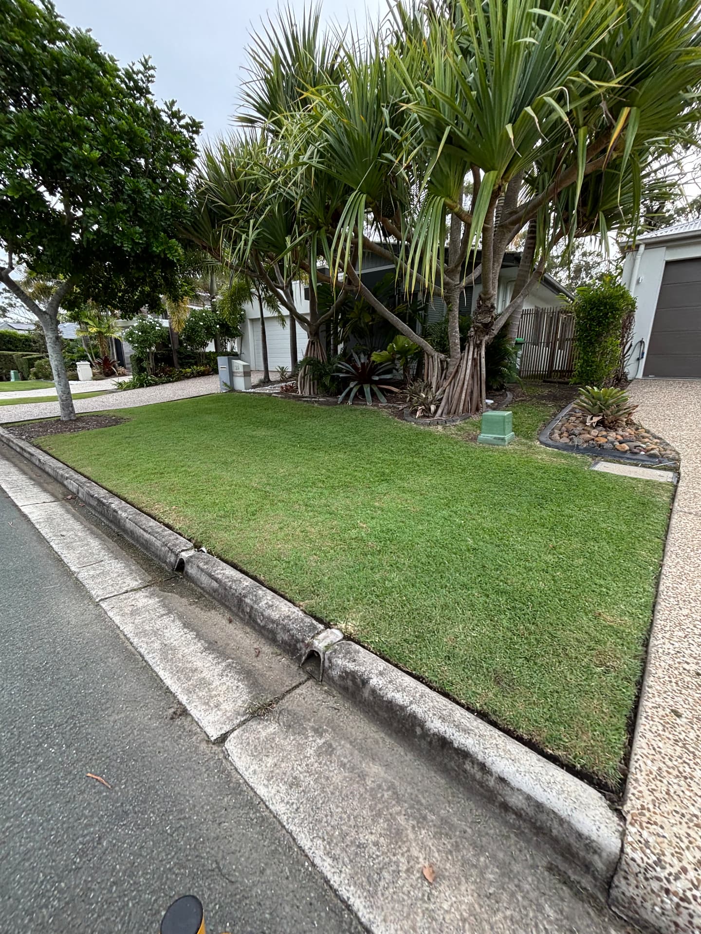 Front lawn mowed and edged along the street kerb