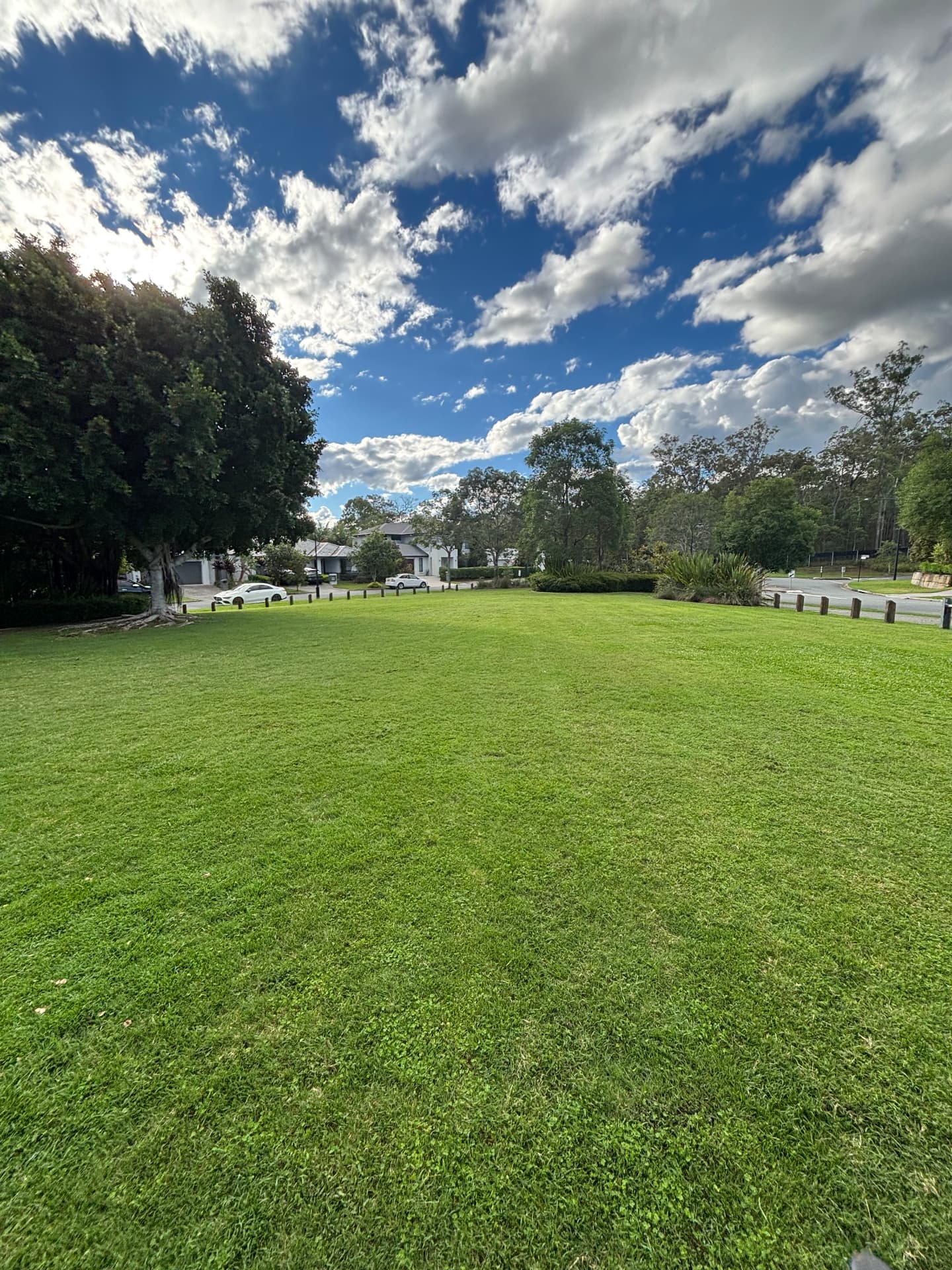 Large open lawn area mowed to an even finish
