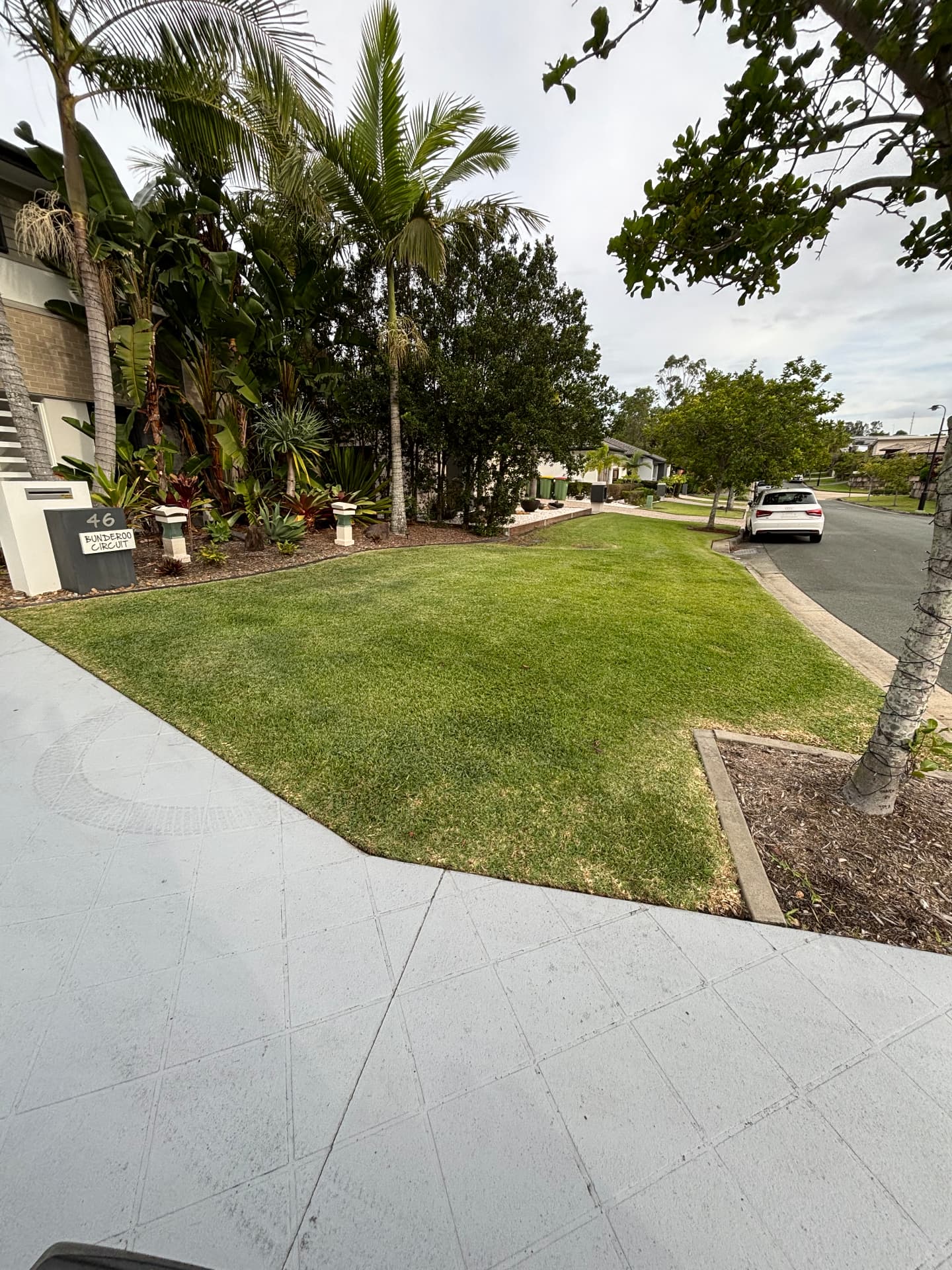 Wide front lawn mowed evenly beside a tropical garden